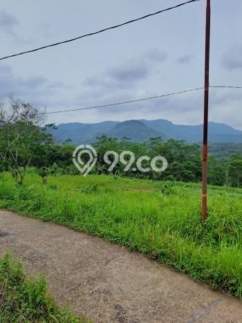Jarang Ada! Tanah di Leuwisadeng Punya Luas 120000m2 SHM Jarang Ada! Tanah di Leuwisadeng Punya Luas 120000m2 SHM