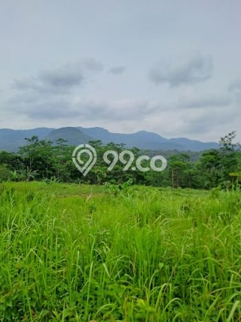 Jarang Ada! Tanah di Leuwisadeng Punya Luas 120000m2 SHM Jarang Ada! Tanah di Leuwisadeng Punya Luas 120000m2 SHM