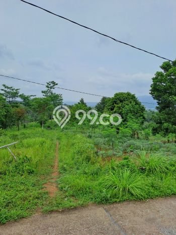 Jarang Ada! Tanah di Leuwisadeng Punya Luas 120000m2 SHM Jarang Ada! Tanah di Leuwisadeng Punya Luas 120000m2 SHM