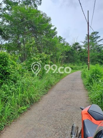 Jarang Ada! Tanah di Leuwisadeng Punya Luas 120000m2 SHM Jarang Ada! Tanah di Leuwisadeng Punya Luas 120000m2 SHM