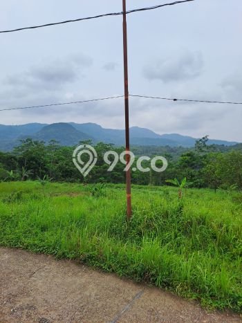 Jarang Ada! Tanah di Leuwisadeng Punya Luas 120000m2 SHM Jarang Ada! Tanah di Leuwisadeng Punya Luas 120000m2 SHM
