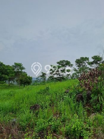 Jarang Ada! Tanah di Leuwisadeng Punya Luas 120000m2 SHM Jarang Ada! Tanah di Leuwisadeng Punya Luas 120000m2 SHM