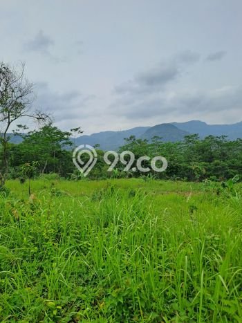 Jarang Ada! Tanah di Leuwisadeng Punya Luas 120000m2 SHM Jarang Ada! Tanah di Leuwisadeng Punya Luas 120000m2 SHM