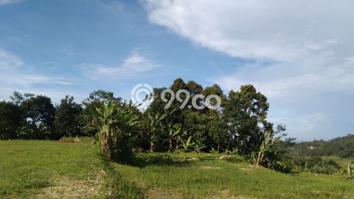 Tanah Komersial Dijual di Leuwiliang Bogor 30000m2 Tanah Komersial Dijual di Leuwiliang Bogor 30000m2