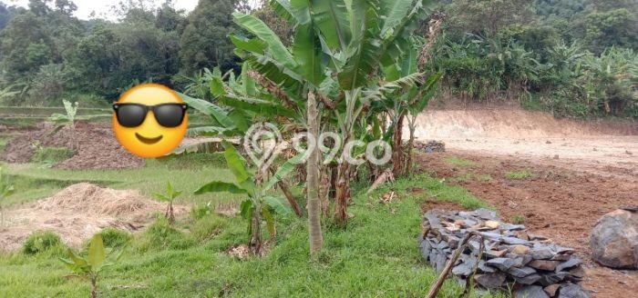 Tanah Komersial Dijual di Leuwiliang Bogor 30000m2 Tanah Komersial Dijual di Leuwiliang Bogor 30000m2