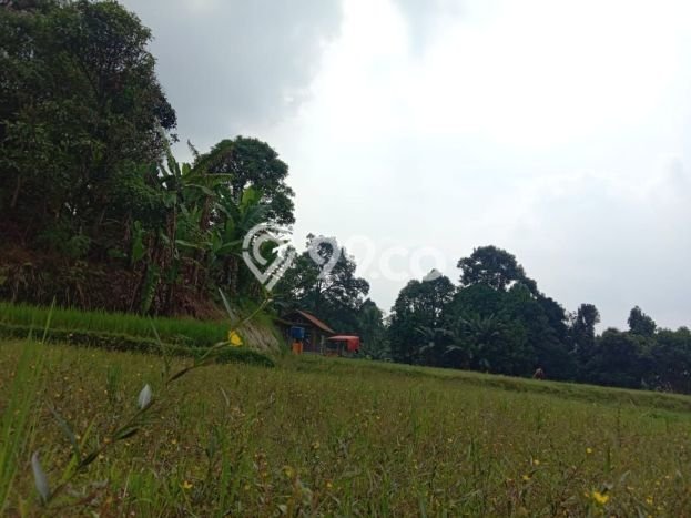 Tanah Komersial Dijual di Leuwiliang Bogor 30000m2 Tanah Komersial Dijual di Leuwiliang Bogor 30000m2