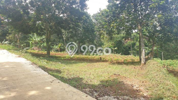 Kavling Tanah Dijual di Megamendung Bogor Spesifikasi 2800m2 Kavling Tanah Dijual di Megamendung Bogor Spesifikasi 2800m2