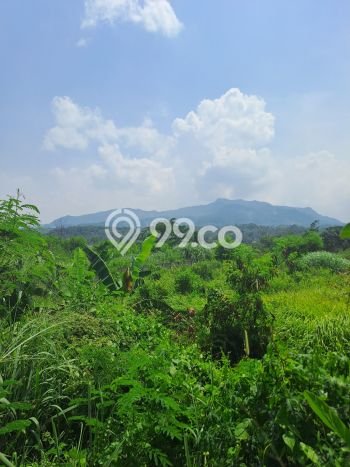 Tanah Kavling untuk Dijual di Nanggung Bogor 40000m2 Tanah Kavling untuk Dijual di Nanggung Bogor 40000m2