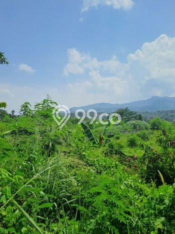 Tanah Kavling untuk Dijual di Nanggung Bogor 40000m2 Tanah Kavling untuk Dijual di Nanggung Bogor 40000m2