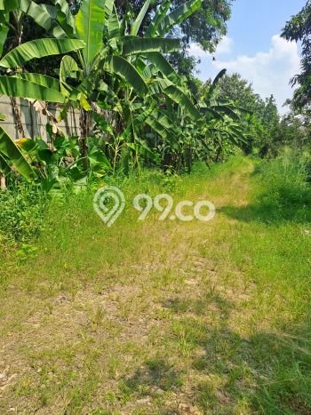 Tanah Kavling untuk Dijual di Nanggung Bogor 40000m2 Tanah Kavling untuk Dijual di Nanggung Bogor 40000m2