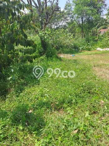 Tanah Kavling untuk Dijual di Nanggung Bogor 40000m2 Tanah Kavling untuk Dijual di Nanggung Bogor 40000m2