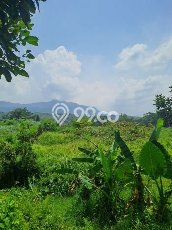 Tanah Kavling untuk Dijual di Nanggung Bogor 40000m2 Tanah Kavling untuk Dijual di Nanggung Bogor 40000m2