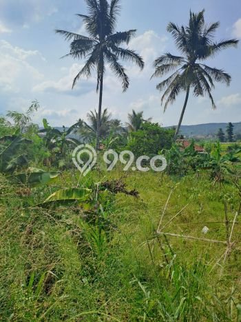 Jarang Ada! Tanah di Nanggung Punya Luas 50000m2 - Jarang Ada! Tanah di Nanggung Punya Luas 50000m2 -