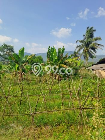 Jarang Ada! Tanah di Nanggung Punya Luas 50000m2 - Jarang Ada! Tanah di Nanggung Punya Luas 50000m2 -