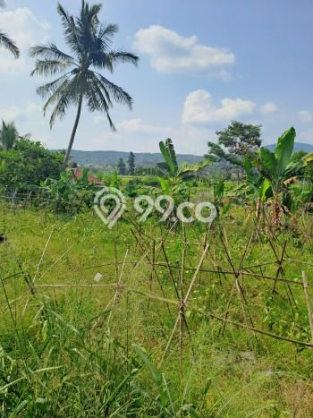 Jarang Ada! Tanah di Nanggung Punya Luas 50000m2 - Jarang Ada! Tanah di Nanggung Punya Luas 50000m2 -