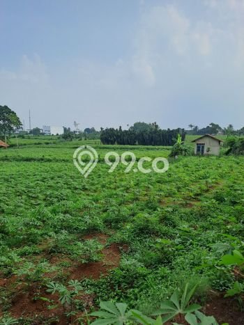 Tanah Kavling untuk Dijual di Ranca Bungur Bogor 50000m2 Tanah Kavling untuk Dijual di Ranca Bungur Bogor 50000m2