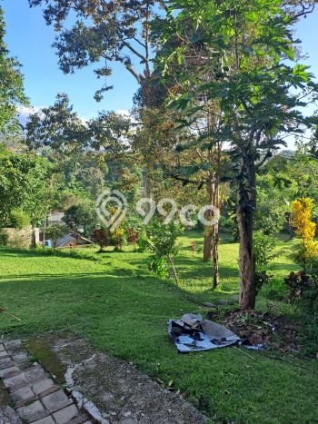 Tanah untuk Dijual di Megamendung Bogor Luas 3000m2 Tanah untuk Dijual di Megamendung Bogor Luas 3000m2