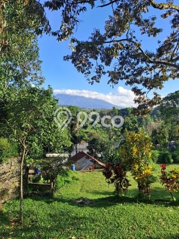 Tanah untuk Dijual di Megamendung Bogor Luas 3000m2 Tanah untuk Dijual di Megamendung Bogor Luas 3000m2