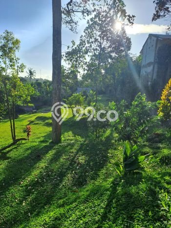 Tanah untuk Dijual di Megamendung Bogor Luas 3000m2 Tanah untuk Dijual di Megamendung Bogor Luas 3000m2