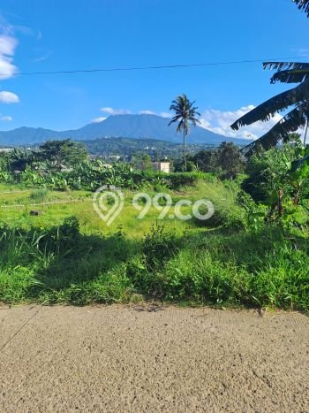 Jarang Ada! Tanah di Megamendung Punya Luas 650m2 SHM Jarang Ada! Tanah di Megamendung Punya Luas 650m2 SHM