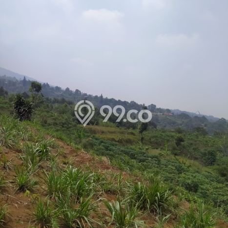 Kavling Tanah Dijual di Cigombong Bogor Spesifikasi 31000m2 Kavling Tanah Dijual di Cigombong Bogor Spesifikasi 31000m2