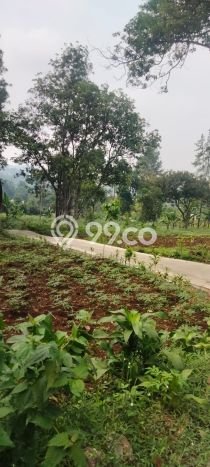 Tanah untuk Dijual Lokasi Megamendung, Bogor Luas 14000m2 SHM Tanah untuk Dijual Lokasi Megamendung, Bogor Luas 14000m2 SHM