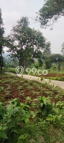 Tanah untuk Dijual Lokasi Megamendung, Bogor Luas 14000m2 SHM Tanah untuk Dijual Lokasi Megamendung, Bogor Luas 14000m2 SHM