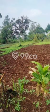 Tanah untuk Dijual Lokasi Megamendung, Bogor Luas 14000m2 SHM Tanah untuk Dijual Lokasi Megamendung, Bogor Luas 14000m2 SHM