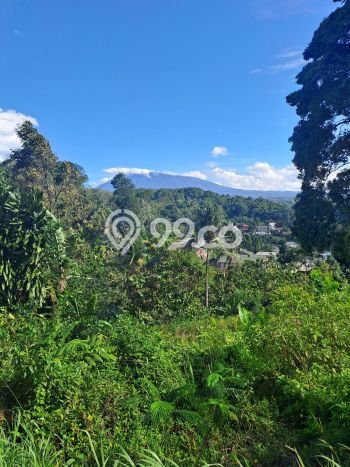 Tanah untuk Dijual Lokasi Megamendung, Bogor Luas 14000m2 SHM Tanah untuk Dijual Lokasi Megamendung, Bogor Luas 14000m2 SHM