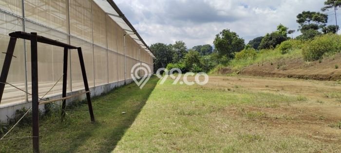 Tanah Strategis Kawasan Megamendung, Luas 8000m², Cocok untuk Investasi Tanah Strategis Kawasan Megamendung, Luas 8000m², Cocok untuk Investasi