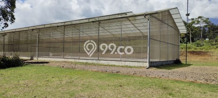 Tanah Strategis Kawasan Megamendung, Luas 8000m², Cocok untuk Investasi Tanah Strategis Kawasan Megamendung, Luas 8000m², Cocok untuk Investasi