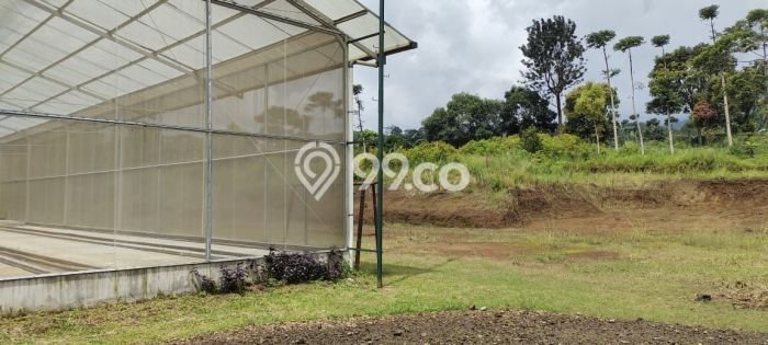 Tanah Strategis Kawasan Megamendung, Luas 8000m², Cocok untuk Investasi Tanah Strategis Kawasan Megamendung, Luas 8000m², Cocok untuk Investasi
