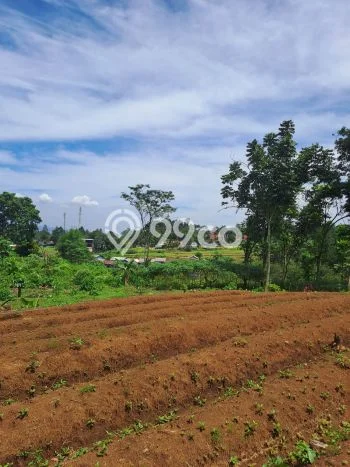 Tanah Kavling untuk Dijual di Megamendung Bogor 9000m2 Tanah Kavling untuk Dijual di Megamendung Bogor 9000m2