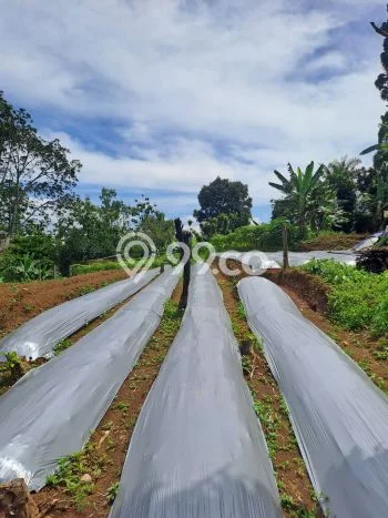 Tanah Kavling untuk Dijual di Megamendung Bogor 9000m2 Tanah Kavling untuk Dijual di Megamendung Bogor 9000m2