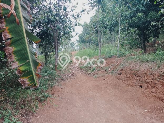 Lahan Kosong Dijual di Leuwiliang, Bogor, Luas 120000m2 Area Strategis Lahan Kosong Dijual di Leuwiliang, Bogor, Luas 120000m2 Area Strategis
