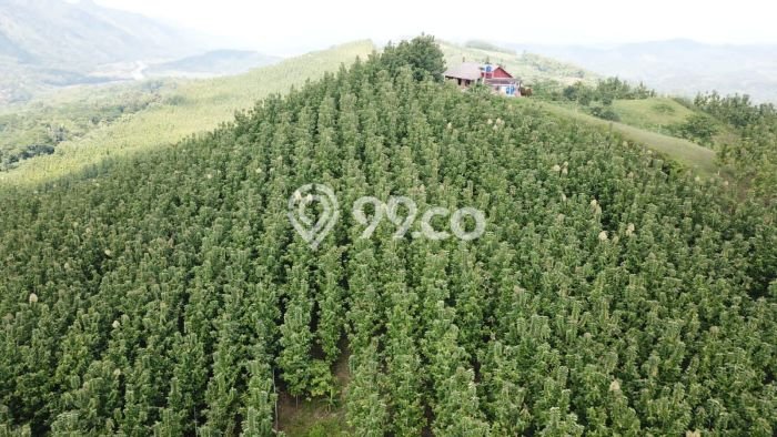 Tanah Strategis Dijual di Warung Kiara Sukabumi 620000m2 Tanah Strategis Dijual di Warung Kiara Sukabumi 620000m2