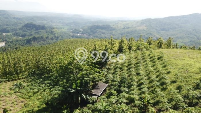 Tanah Strategis Dijual di Warung Kiara Sukabumi 620000m2 Tanah Strategis Dijual di Warung Kiara Sukabumi 620000m2
