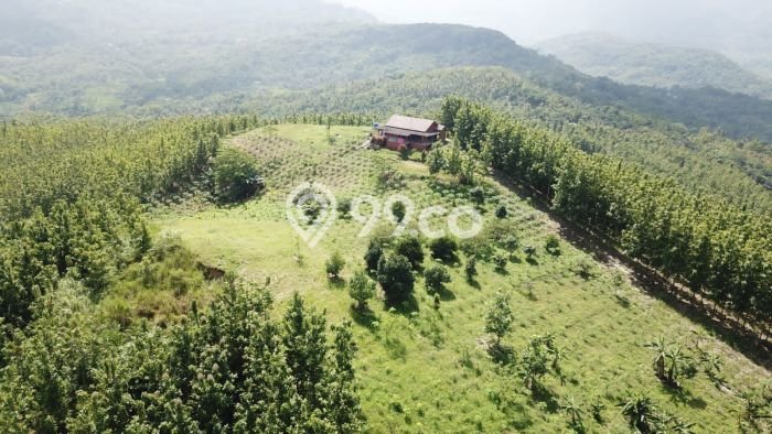 Tanah Strategis Dijual di Warung Kiara Sukabumi 620000m2 Tanah Strategis Dijual di Warung Kiara Sukabumi 620000m2