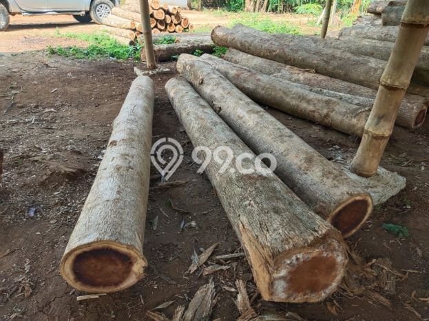 Tanah Strategis Dijual di Warung Kiara Sukabumi 620000m2 Tanah Strategis Dijual di Warung Kiara Sukabumi 620000m2