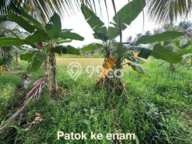 Kavling Tanah Dijual di Carita Pandeglang Spesifikasi 43800m2 Kavling Tanah Dijual di Carita Pandeglang Spesifikasi 43800m2