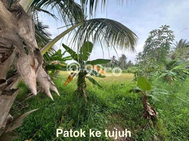 Kavling Tanah Dijual di Carita Pandeglang Spesifikasi 43800m2 Kavling Tanah Dijual di Carita Pandeglang Spesifikasi 43800m2