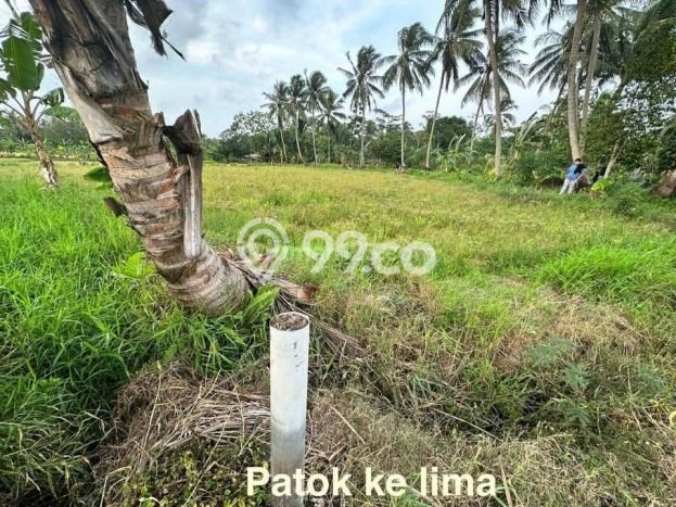 Kavling Tanah Dijual di Carita Pandeglang Spesifikasi 43800m2 Kavling Tanah Dijual di Carita Pandeglang Spesifikasi 43800m2
