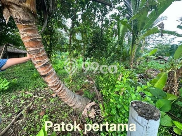 Kavling Tanah Dijual di Carita Pandeglang Spesifikasi 43800m2 Kavling Tanah Dijual di Carita Pandeglang Spesifikasi 43800m2