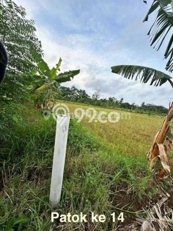 Kavling Tanah Dijual di Carita Pandeglang Spesifikasi 43800m2 Kavling Tanah Dijual di Carita Pandeglang Spesifikasi 43800m2