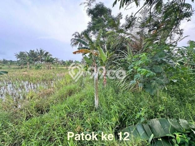 Kavling Tanah Dijual di Carita Pandeglang Spesifikasi 43800m2 Kavling Tanah Dijual di Carita Pandeglang Spesifikasi 43800m2