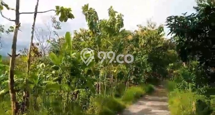 Tanah Area Berkembang di Bantargadung, Luas 1.1e+06m2m², Dekat ke Fasilitas Umum, Akses Bantargadung, Sukabumi, Sukabumi Tanah Area Berkembang di Bantargadung, Luas 1.1e+06m2m², Dekat ke Fasilitas Umum, Akses Bantargadung, Sukabumi, Sukabumi