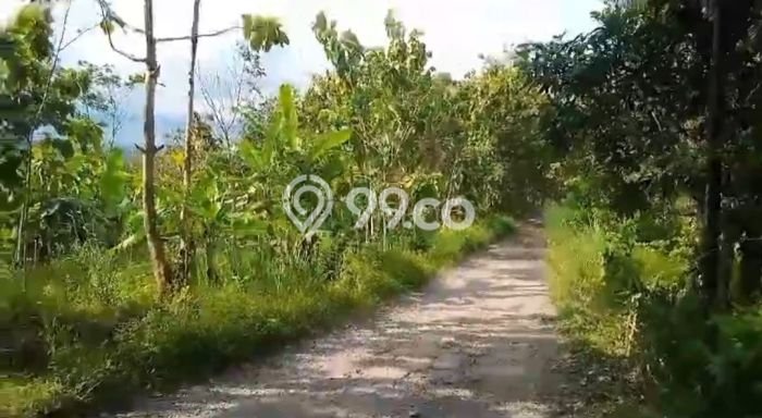 Tanah Area Berkembang di Bantargadung, Luas 1.1e+06m2m², Dekat ke Fasilitas Umum, Akses Bantargadung, Sukabumi, Sukabumi Tanah Area Berkembang di Bantargadung, Luas 1.1e+06m2m², Dekat ke Fasilitas Umum, Akses Bantargadung, Sukabumi, Sukabumi