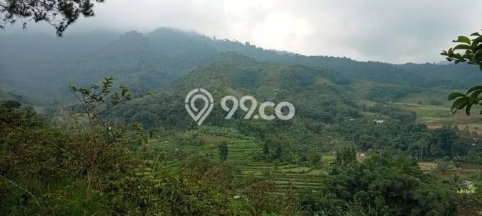 Tanah Kavling di Cidahu Dijual dengan Luas 15000m2 Tanah Kavling di Cidahu Dijual dengan Luas 15000m2