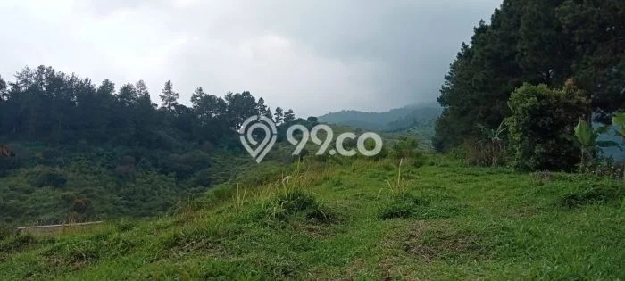Tanah Kavling di Cidahu Dijual dengan Luas 15000m2 Tanah Kavling di Cidahu Dijual dengan Luas 15000m2