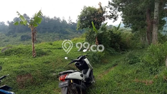 Tanah Kavling di Cidahu Dijual dengan Luas 15000m2 Tanah Kavling di Cidahu Dijual dengan Luas 15000m2